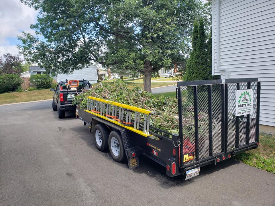 An image of a black trailer parked on a residential street next to a house with white siding. The trailer is loaded with a large pile of tree branches and leaves