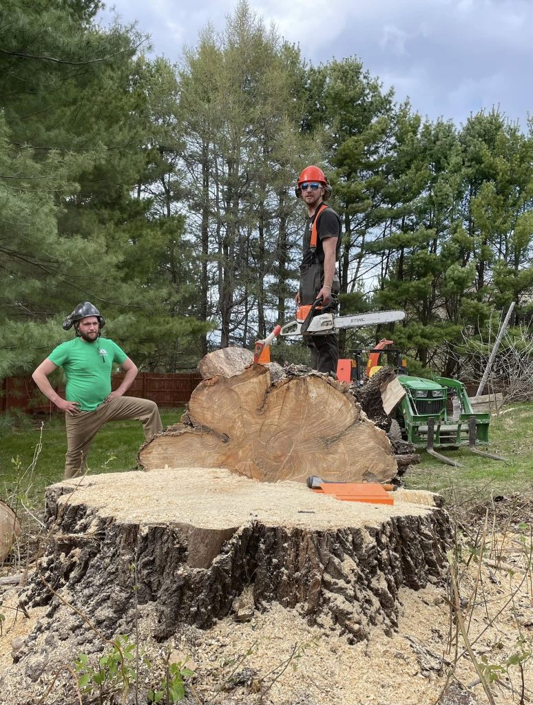 Two workers in a yard with a large freshly cut tree stump. One sits on the stump with a chainsaw, the other stands nearby wearing a green shirt and helmet, with wood debris and equipment around.