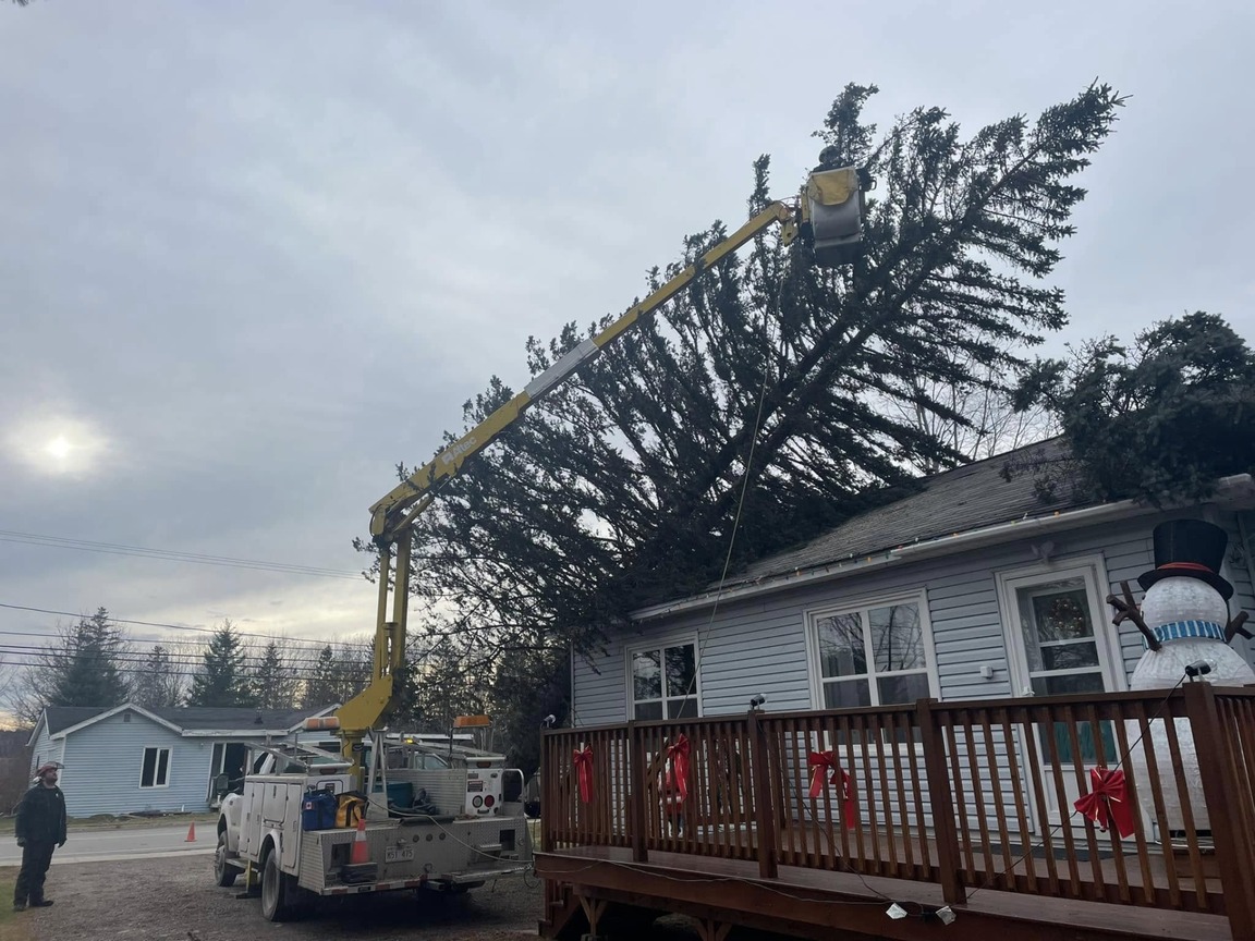 Tree trimming crew using a boom lift to remove branches from a large evergreen resting on a house, with a truck and wooden deck in the foreground.