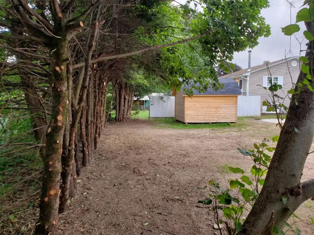 A dirt path between a row of trimmed trees on the left and a wooden shed in the background, with a residential house and fence beyond.