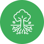 General tree service and evaluations